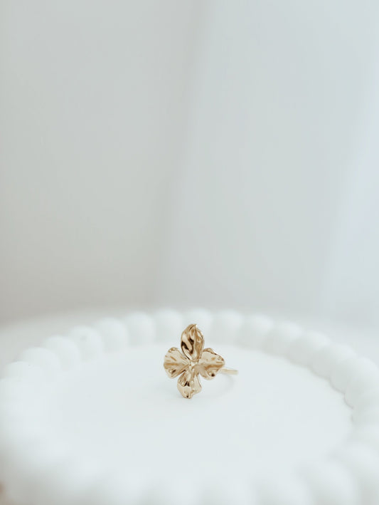 Clemence - Maison SajesBaguesMaison Sajes