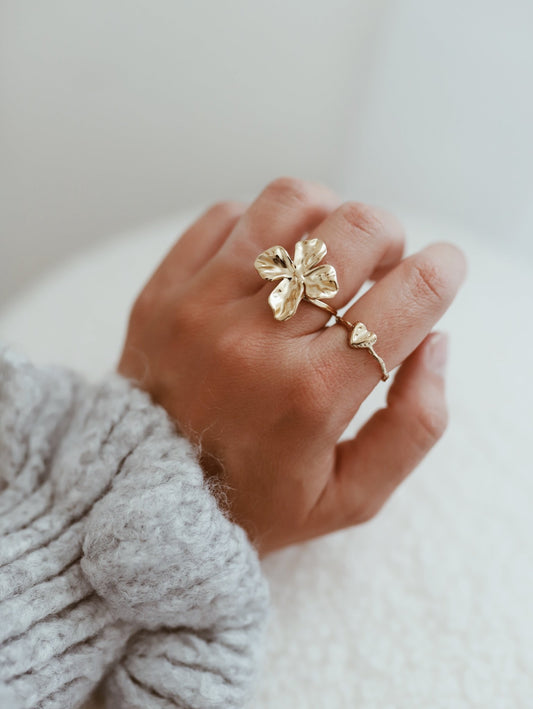 Clemence - Maison SajesBaguesMaison Sajes